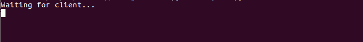 UDP Sockets